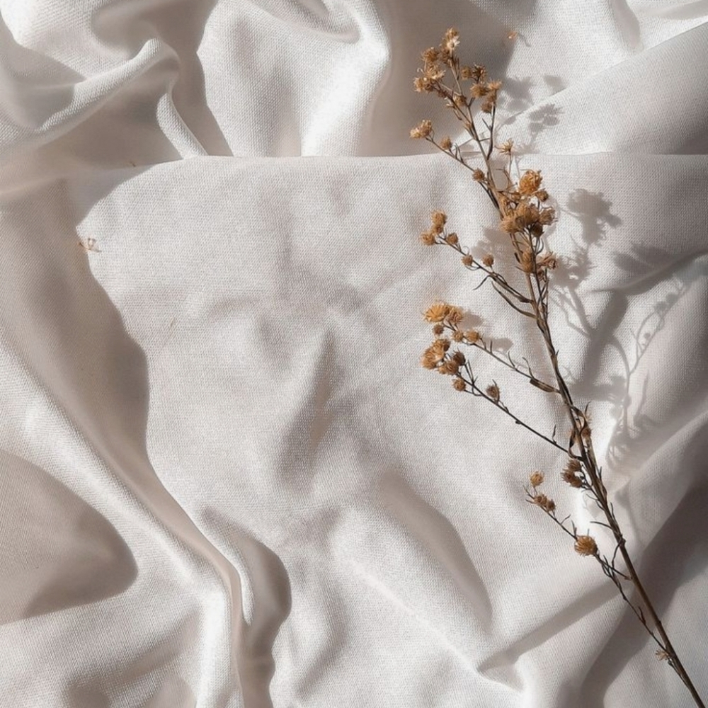 Meet your Posher, Bella